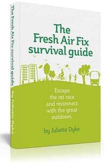 Fresh Air Fix book cover design